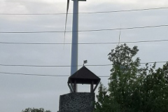 foto3_Alan-Trnava_EBH2023