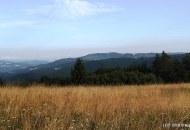 2019-07-batovan-2