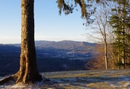 2019-12-batovan-6