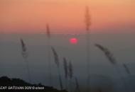 2020-08-batovan-23