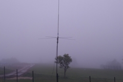2020-06-batovan-08