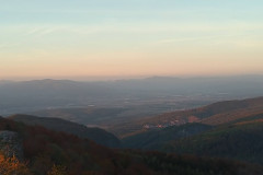 2021-10-batovan-2