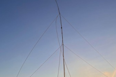 2022-01-omega-19