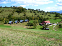 Pleše 2010