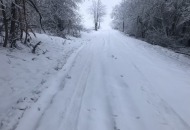 2018-01-zcbz-milan-senica-6