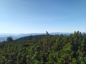 SPL 2026 Marec – Obrovský súboj o prvé miesto nakoniec vyhral Milan Senica